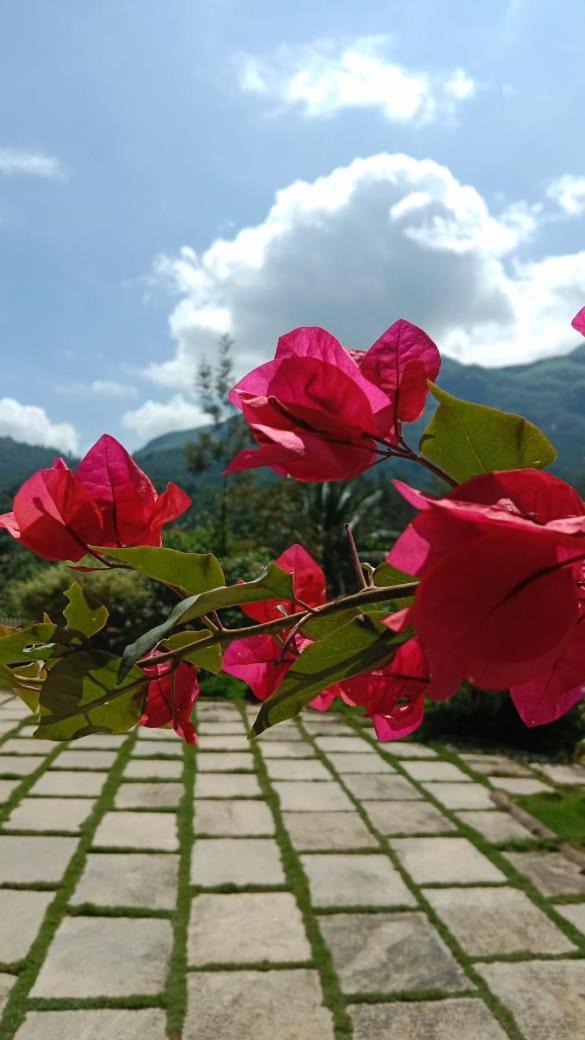Padikkal Bungalow 비티리 외부 사진